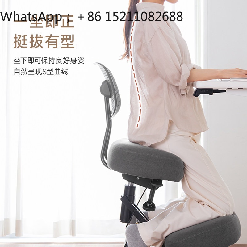 LLY 사무용 의자, 인체공학적 디자인, 무릎을 꿇고  - Ergonomic Office Chair 리뷰 및 가격